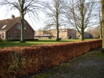 Hoeve-Boschoord-00979