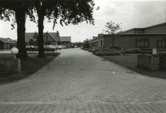 Hoeve-Boschoord-00982
