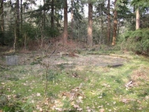 Boschoord-Jachthut-01027