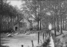 Boschoord-Rijksschool-III-01033