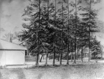 Boschoord-Rijksschool-III-01034