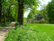 Boschoord - Schoollaan.