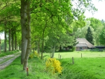 Boschoord - Schoollaan.