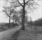 Boschoord - Schoollaan. Rechts de voormalige school, links nr. 1