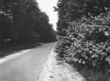 Dolderstum-Boylerstraat - juni 1974