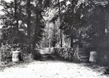 Doldersum-Storklaan-01054
