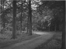 Doldersum-Storklaan-01056