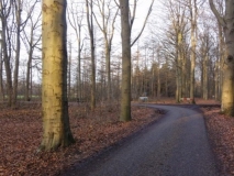 Doldersum-Storklaan-01057
