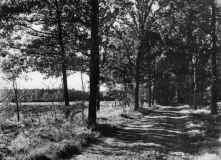 Doldersum-Storklaan-01058