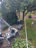 Kabels naar de iep
Jaartal: 28 oktober 2024
Bron: Brand Boomverzorging