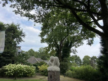 De eik en de esdoorn voorkomen dat de stammen naar de weg of het pand kunnen vallen
Jaartal: 28 oktober 2024
Bron: Brand Boomverzorging