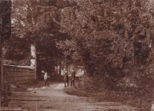 Frederiksoord - Beukenlaan