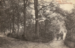 Frederiksoord - Beukenlaan