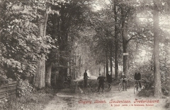 Frederiksoord - Beukenlaan