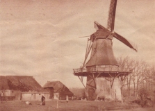 Frederiksoord - Molen
