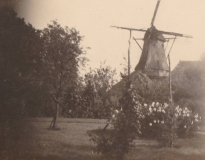 Frederiksoord - Molen