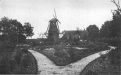 Frederiksoord - Molen