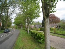 Frederiksoord - van Swietenlaan.