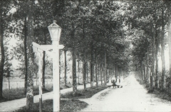 Frederiksoord - van Swietenlaan.
