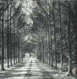 Frederiksoord - van Swietenlaan.