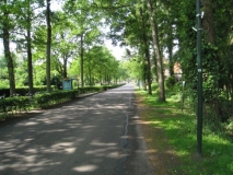 Frederiksoord - van Swietenlaan.