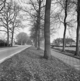 Frederiksoord - van Swietenlaan.