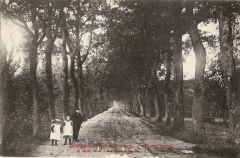 Frederiksoord - Wynoldyweg.