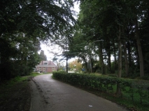 Nijensleek - Hoofdweg.