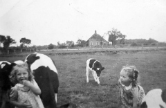 Nijensleek - Hoofdweg 53.