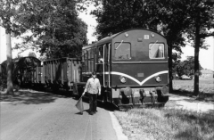 Oversteek Majoor van Swietenlaan lok 453