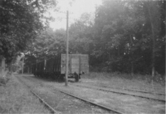 De goederenwagons 144927, 143957, 139453 bij de loods van de NTM aan de Kon. Wilhelminalaan