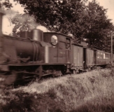 Tram in de richting Wilhelminaoord. Vermoedelijk in de buurt van de Kon. Wilhelminalaan 74