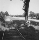 Trambaan in Wilhelminaoord