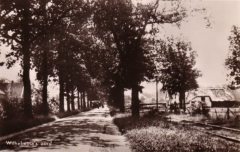 Trambaan ter hoogte van Hoeve Marianne