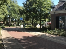 Vledder - Brink