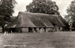 Vledder - de Hoek 5
