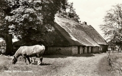 Vledder - de Hoek 5