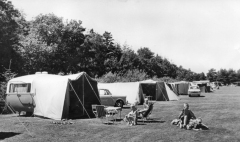 Vledder -  Camping de Bosrand