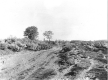 Vledder-Pastorieweg