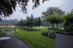Vledder - Vledderhof 3