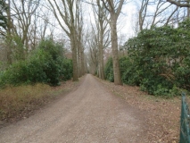 Vledder - Vledderhof 3