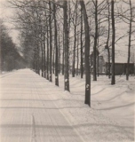 Vledder - Vledderweg 18