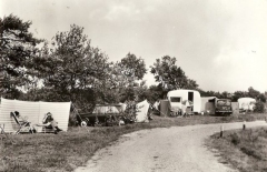 Vledder - Vledderweg 19 - Camping Adelhof