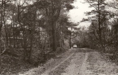 Vledder - Vledderweg 19 - Camping Adelhof