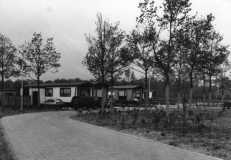 Bomen uit Doldersum