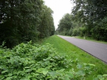 Jan Wapstraweg.