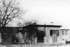 Wilhelminaoord - Koningin Wilhelminalaan 29