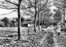 Wilhelminaoord-Hooiweg 1