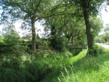 Wilhelminaoord - Koningin Wilhelminalaan 35