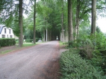 Wilhelminaoord - Oranjelaan